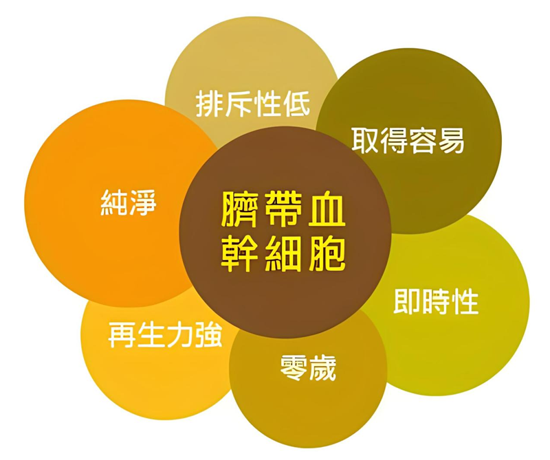 脐带血干细胞(图3)